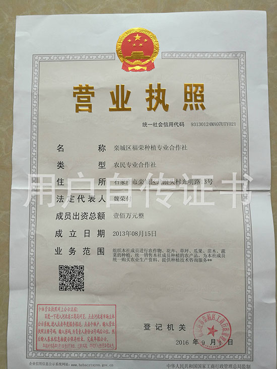 1527471353202697.jpg 4074378653.jpg