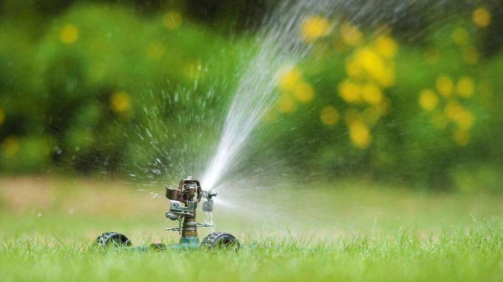草坪的澆水知識有哪些？