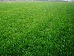 1546410040873545.jpg u=1693659912,1301728495&fm=26&gp=0.jpg