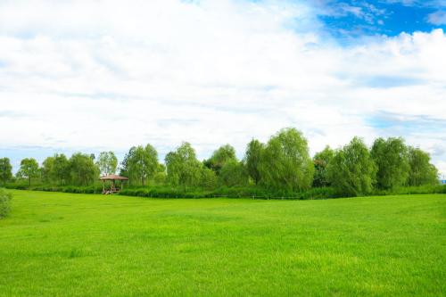 1546594541661312.jpg u=2115628898,790040203&fm=200&gp=0.jpg