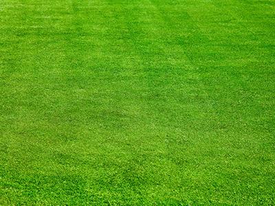 1546824921542200.jpg u=719746598,1999627809&fm=26&gp=0.jpg